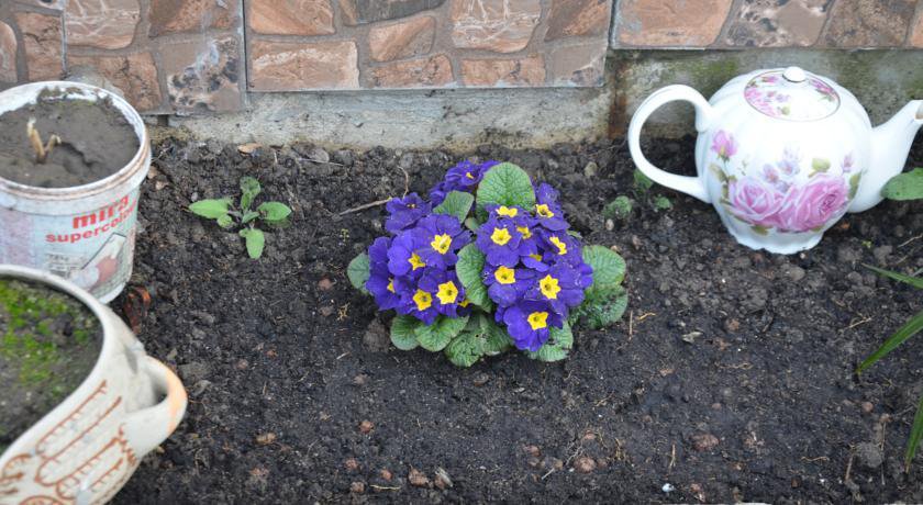 Гостевой дом Zemfira Ялта