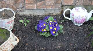 Гостевой дом Zemfira Ялта Классический трехместный номер-6