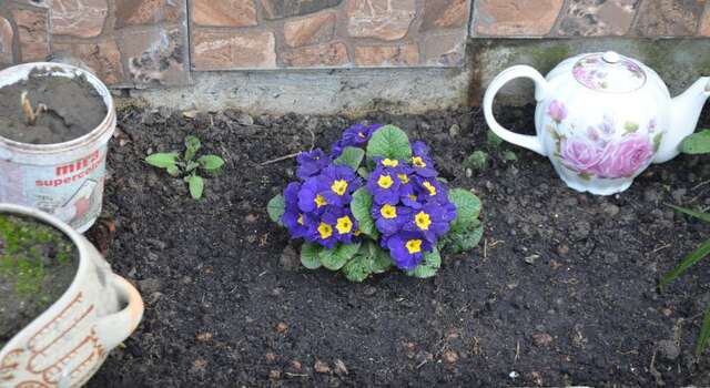 Гостевой дом Zemfira Ялта-28